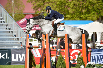 copyright-ludger-beerbaum-stables-diablo-blanco-chacco-lover