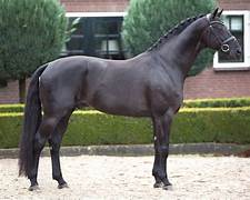 glamourdale